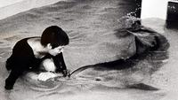 The Girl Who Talked to Dolphins
