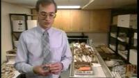 Secret Life of a Serial Killer: Herb Baumeister