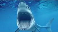 Evolve: The Evolution of Jaws