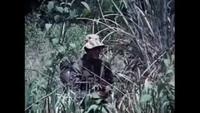 Secrets of Vietnam: The Long Range Recon Patrol