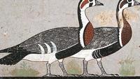 The Sacred Animals of the Pharaohs