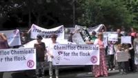 The Girl Against Fluoride