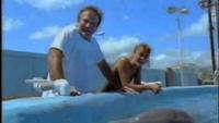 In the Wild: Dolphins With Robin Williams