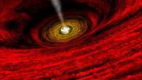 Birth of a Black Hole