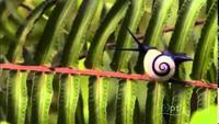 Cuba: The Accidental Eden