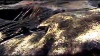 Mega Disasters: Yellowstone Eruption