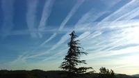 Bye Bye Blue Sky