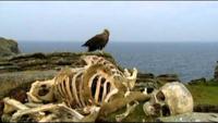 Lost Worlds: The Pagans
