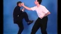 Wing Chun: Ip Chun: Wooden Dummy Techniques and Applications