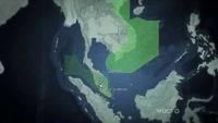 Why Planes Vanish