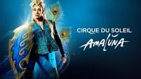 Inside The Cirque Du Soleil