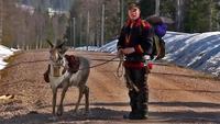 The Last Generation? Sami Reindeer Herders in Swedish Lapland