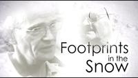 Footprints in the Snow