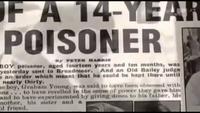 The Teacup Poisoner