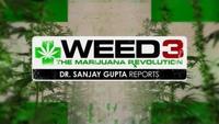 Weed 3: The Marijuana Revolution