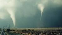 Wild Weather: Temperature: The Driving Force