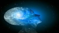 In Search Of: Brain Power