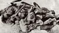 Racism: A History: Fatal Impacts
