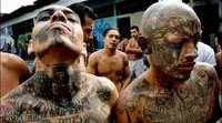 The Execution of Los Zetas Drug Cartel