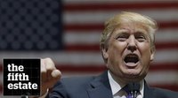 The Fire Breather : The Rise and Rage of Donald Trump