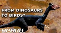 Dinosaurs: On the Trail of Prehistory