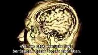 Human Instinct