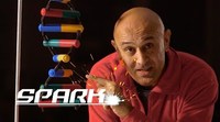 The Secrets of Quantum Physics : Let There Be Life