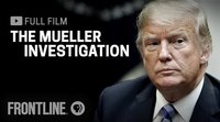 The Mueller Investigation