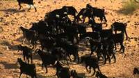 Journeys from the Centre of the Earth