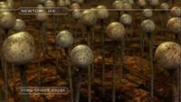 Alien Planet