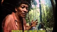 Shamans of the Amazon