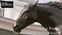 Horse Power - The National Museum of Racing