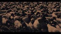 97% Owned - Monetary Reform documentary