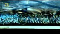 Air Crash Investigation - Cutting Corners (Alaska Airlines Flight 261)