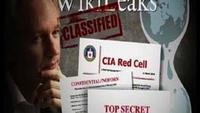 The Whistleblower