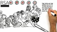 The Divided Brain