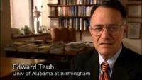 The Secret Life of the Brain - The Aging Brain - Through Many Lives