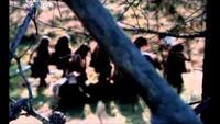Ape Man - Love