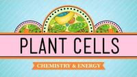 Crash Course - Biology - Plant Cells