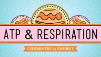 Crash Course - Biology - ATP and Respiration