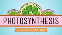 Crash Course - Biology - Photosynthesis