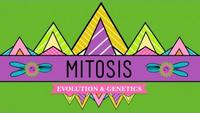 Crash Course - Biology - Mitosis - Splitting Up is Complicated
