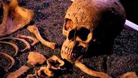 History Cold Case - Crossbones Girl