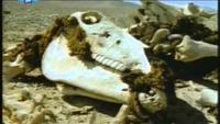How the Earth Was Made - Driest Place on Earth