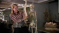 Origins of Us - Bones