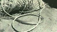 Hemp War Conspiracy