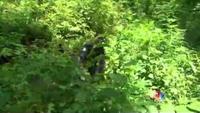 Marijuana Inc - Inside America's Pot Industry