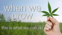 When We Grow This Is What We Can Do