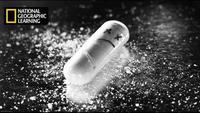 The World's Most Dangerous Drug (Meth)