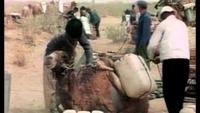 The Silk Road - Across The Taklamakan Desert